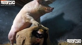 Русское зоопорно: огромная свинья трахает бабу и кончает